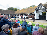 NH051025-51 - Thewoodcorner